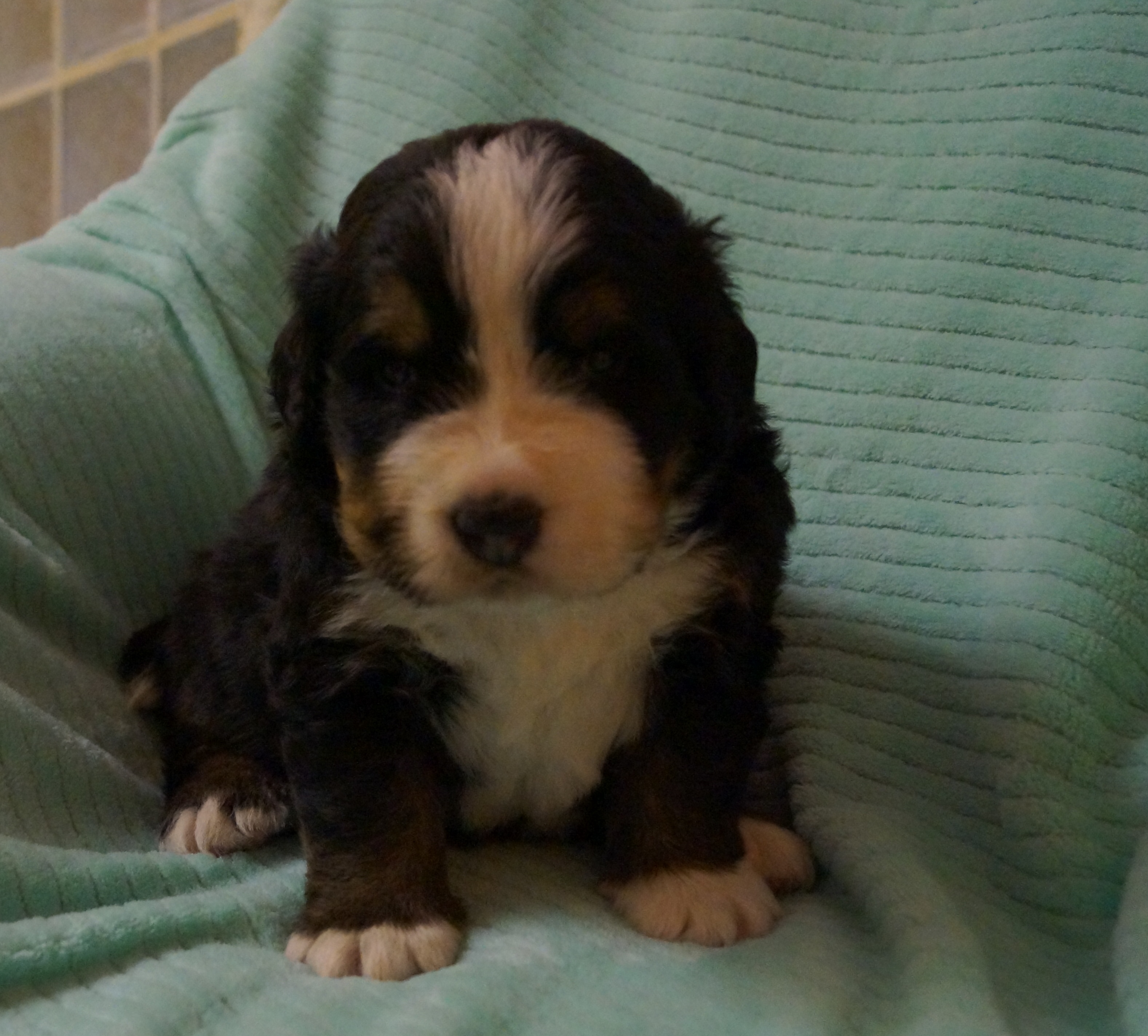 Boy 3 weeks Boy 3 weeks