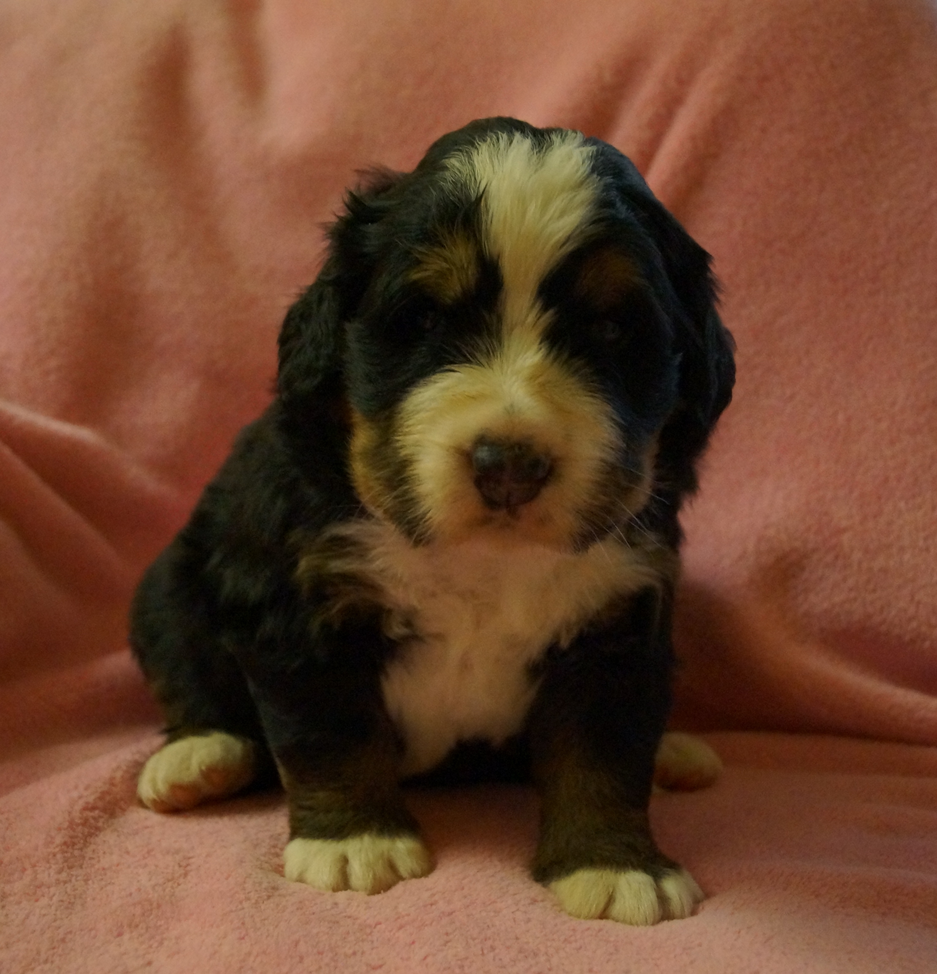 Girl 3 weeks Girl 3 weeks
