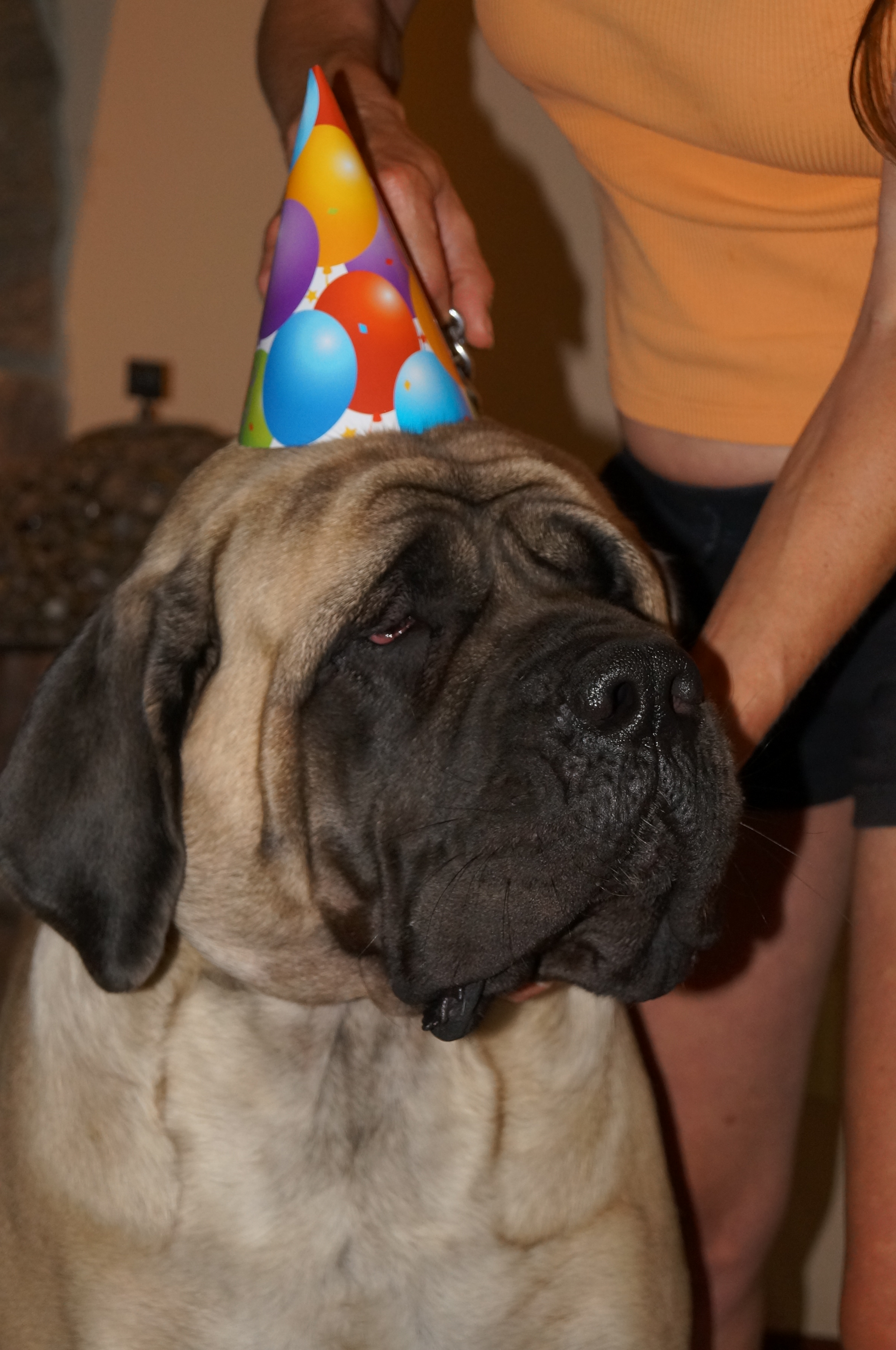 Bday girl Bday girl