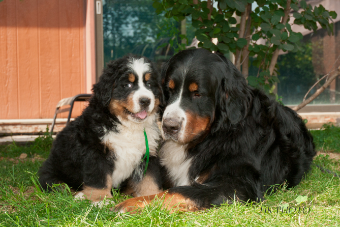 Arber & Lucy Arber & Lucy