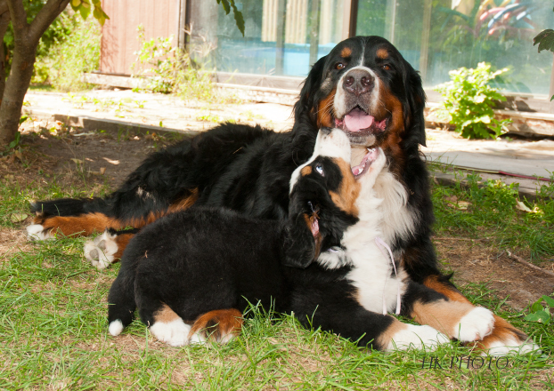 Avalanche & Lucy Avalanche & Lucy