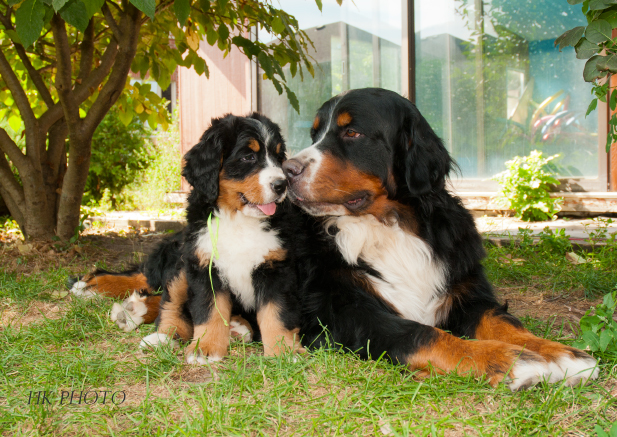 Aspen and Lucy Aspen and Lucy